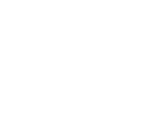 breakwall logo