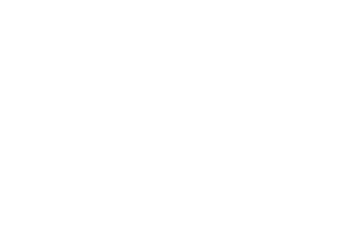 Little Alley Steak