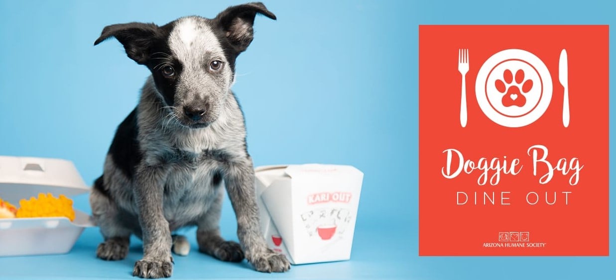 Doggie Bag Dine Out in Scottsdale Ling & Louie's Asian Bar and Grill