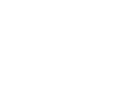 The Mad Italian
