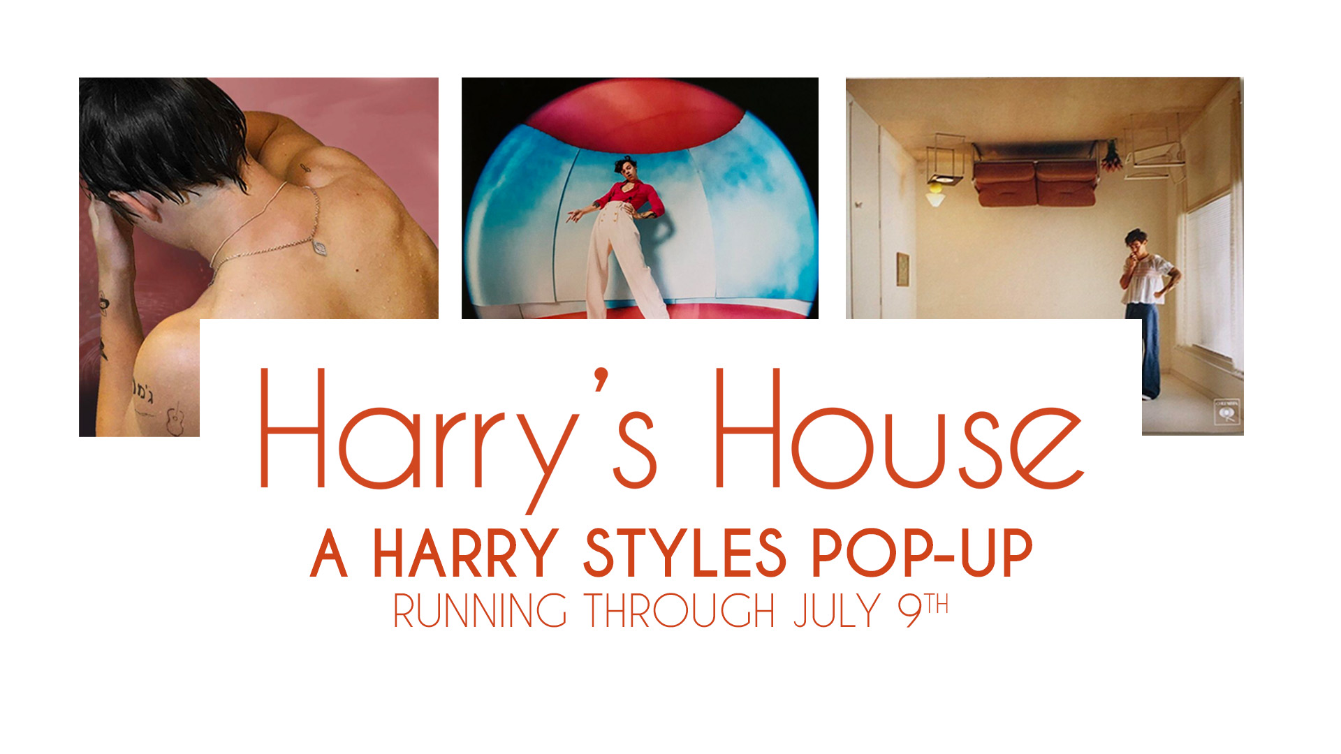 Harry's House - Plugged In