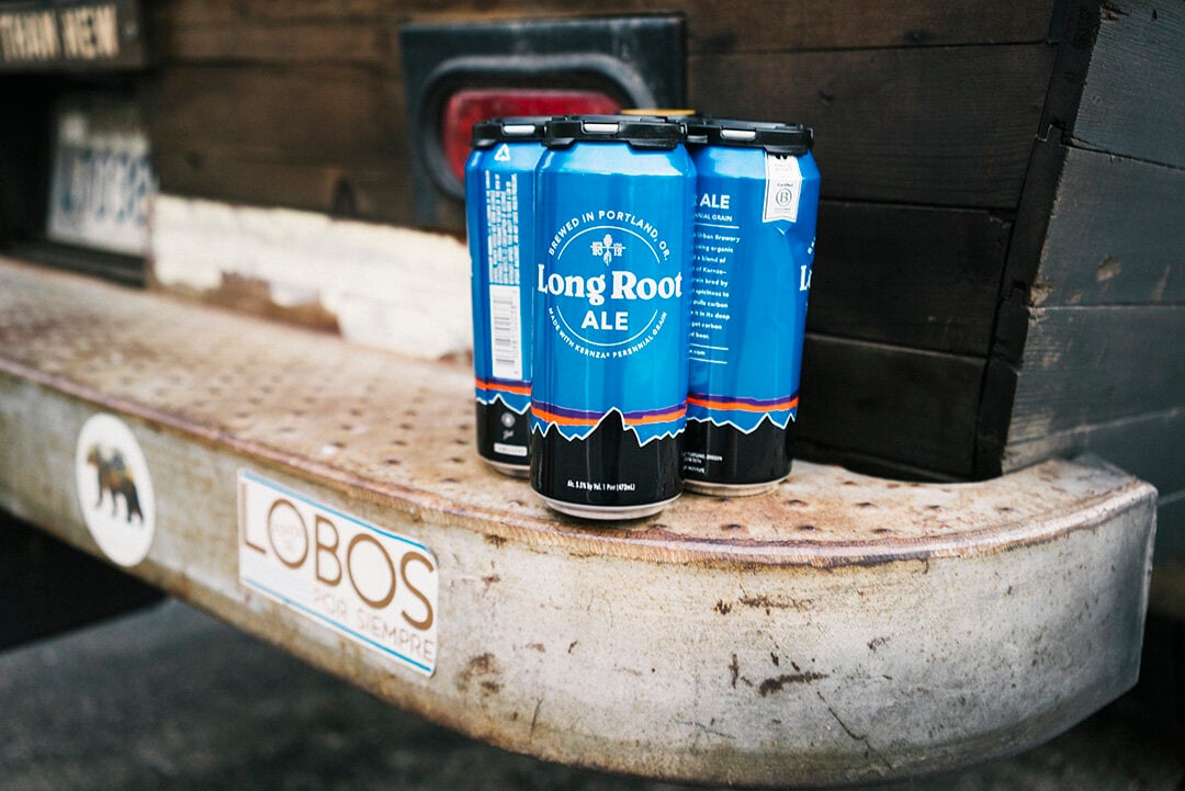 Long Root Ale: A Partnership between Patagonia Provisions