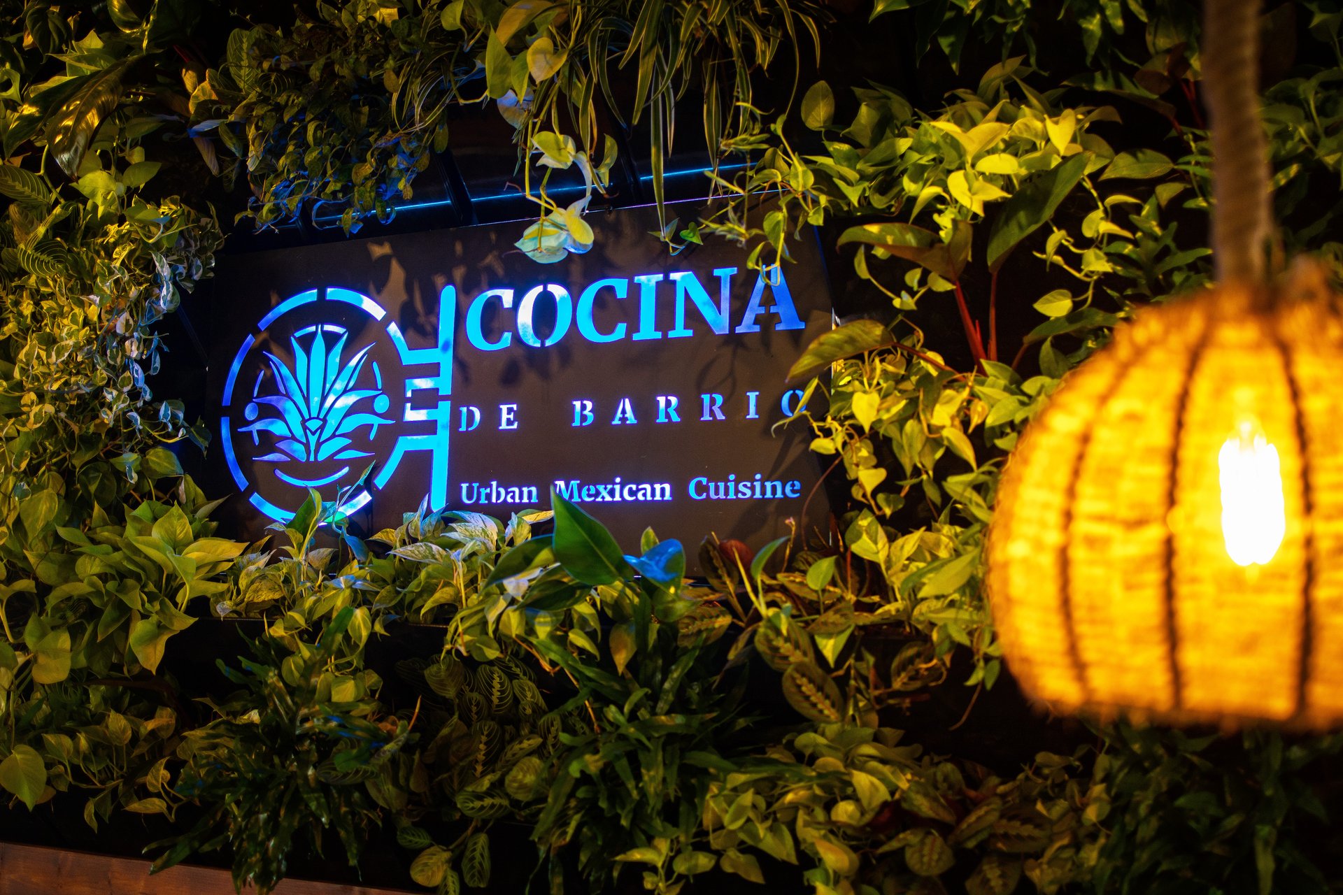 Barrio solana (89) 사진