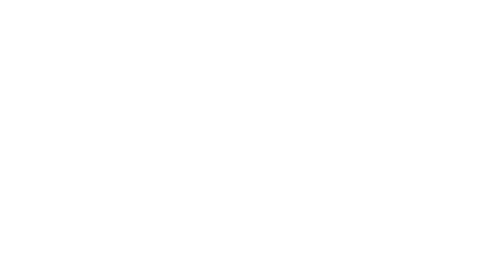 the annie logo
