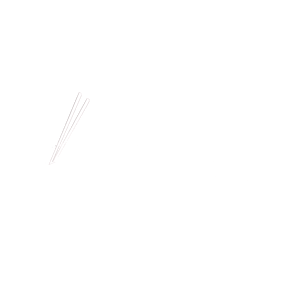 The Rice Bowl Asian Fusion Restaurant in Birmingham, AL