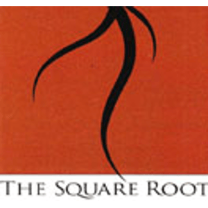 The Square Root Restaurant In Brevard NC   Bc209217 3157 4661 B848 D39920fa84e6 