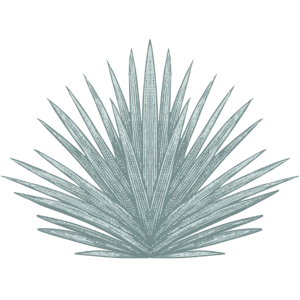 El Patron Tequileria & Cuisine home logo