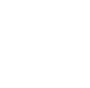 Partners II Pizza home logo