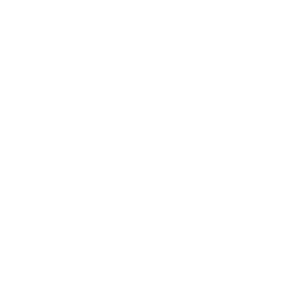Bird & Batter home logo