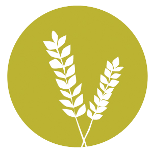 Rising Roll Gourmet Cafe' restaurant logo