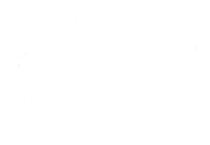 Thirsty Cow Korean BBQ home logo