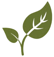 Good Life Nutrition home logo