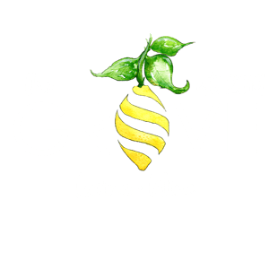 The Grove Cucina & Wine home logo