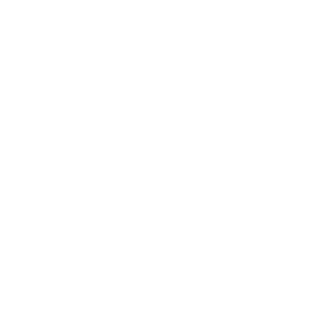 Nic & Norman's home logo