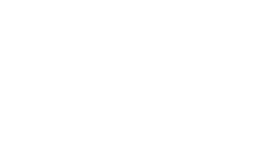 Blackbird Public House home logo
