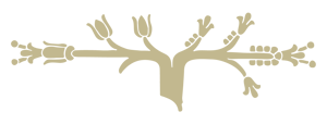 Mayahuel home logo
