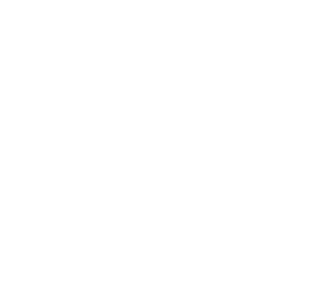 Butcher & Sprout home logo