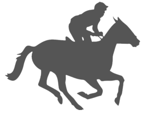 The Derby home logo
