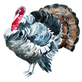 Bates House of Turkey home logo