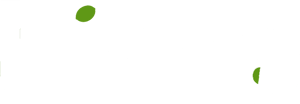 Lime - An American Cantina home logo