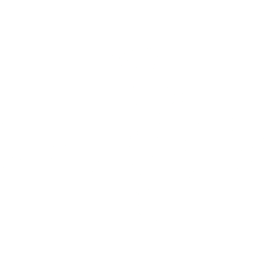 Nina P's Cafe home logo