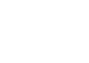 The District home logo