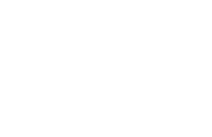 Antiguo Lobo home logo