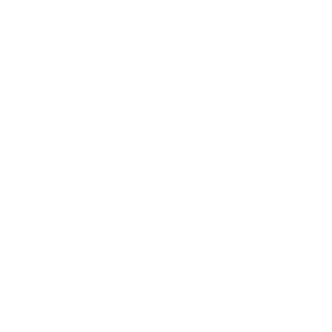 Louisiana Bayou Bistro home logo