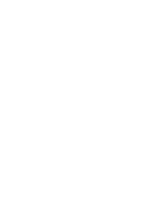 Eddie and Vinny's home logo