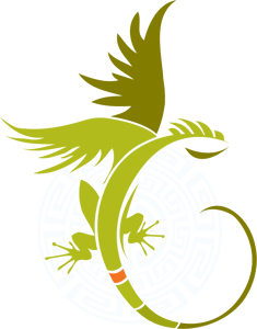 Flying Iguana home logo