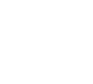 McNally's Irish Pub home logo