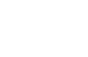 Fratesi's home logo
