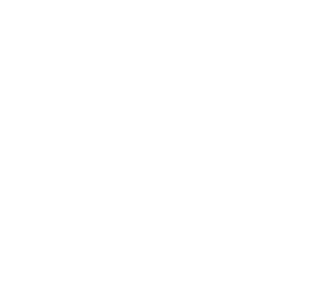 Sol Willoughby home logo