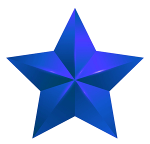 Lone Star Brunch home logo