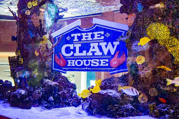 Close up of aquarium with The Claw House sign