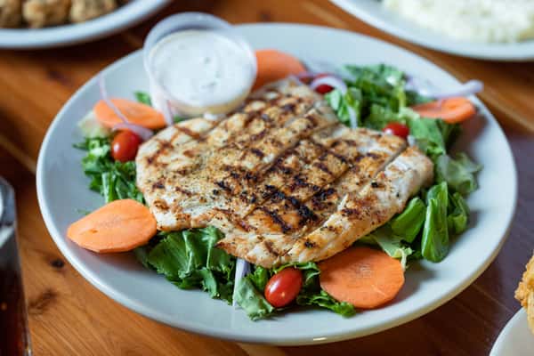 grilled chicken salad