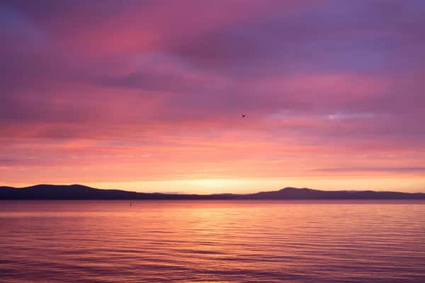 Frye's Leap Cafe Fryes Leap Cafe Cafe in Frye Island, ME