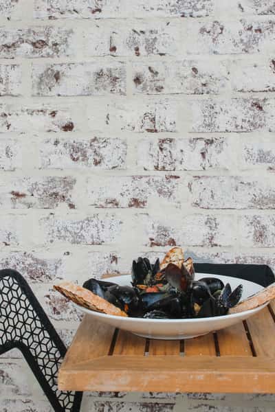 Mussels Maryland