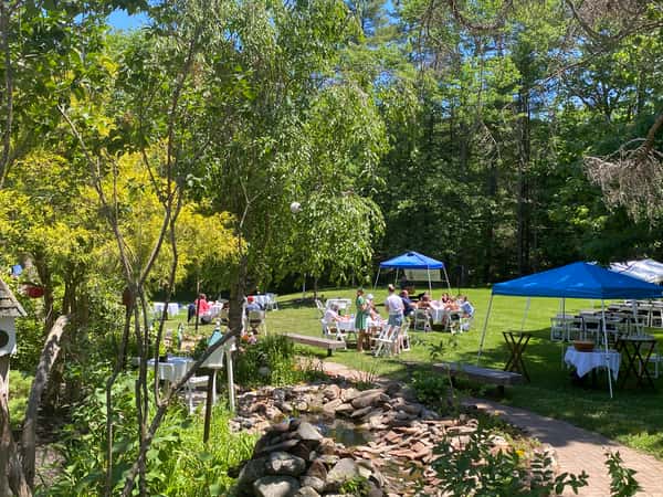 party in the lawn