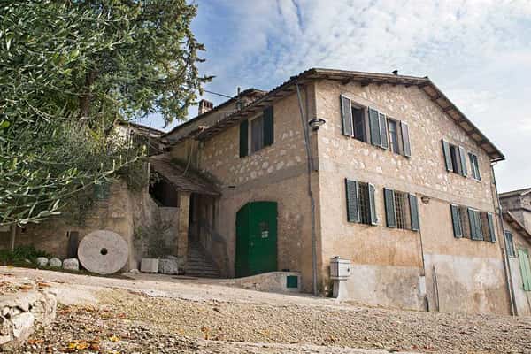 Terre Francescane Extra Virgin Olive Oils