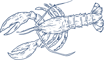 Illustrated blue lobster