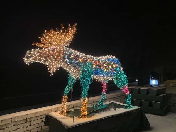 lit moose