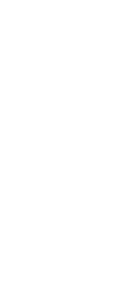 Wine Bottle Drawing
