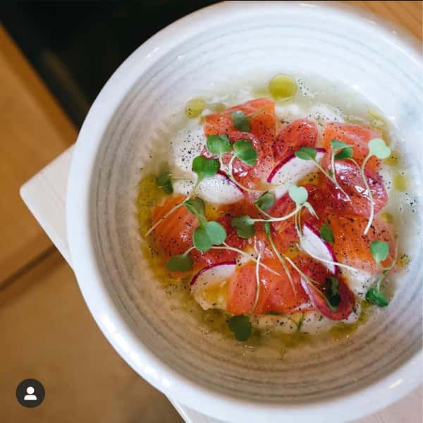 Salmon Burrata
