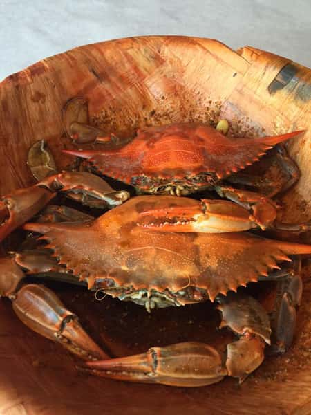 Crab