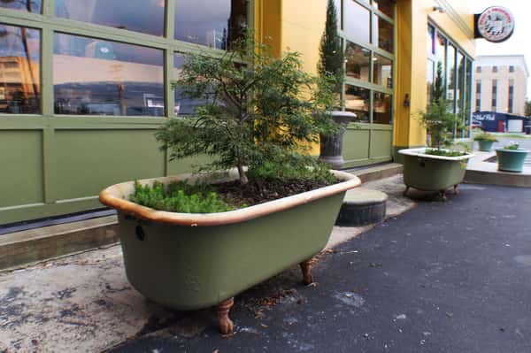 pasta_provisions_park_bonsai_tub