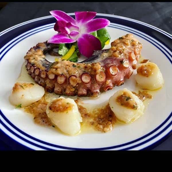 Octopus