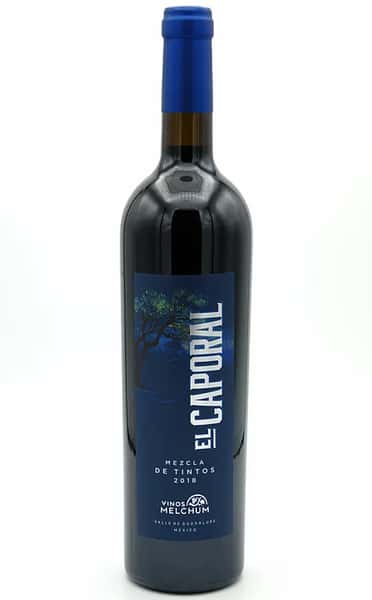 2018 El Caporal Hacienda de Guadalupe #15