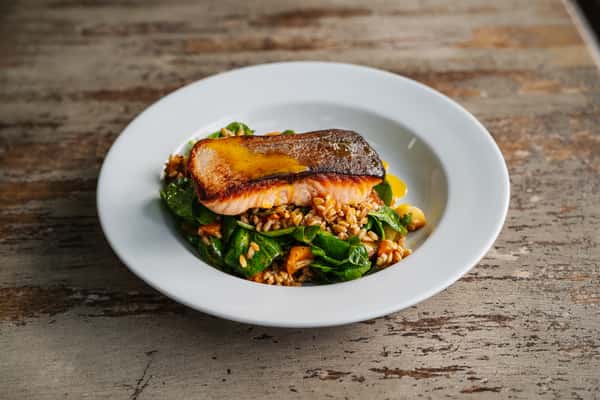 salmon bowl