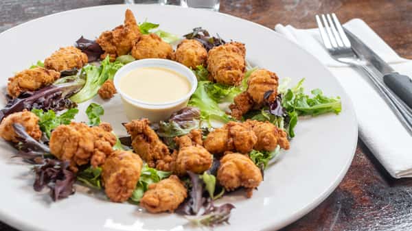 gator bites